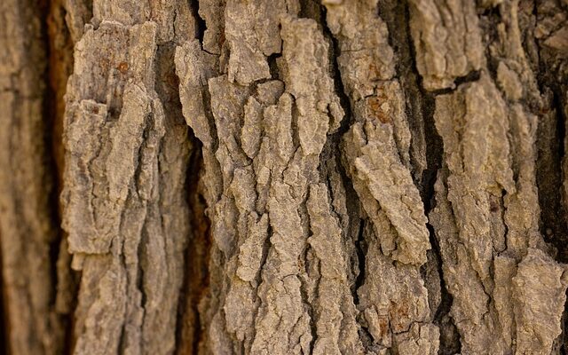 Fra kedeligt til flot: Sådan giver træolie nyt liv til dine gamle træoverflader