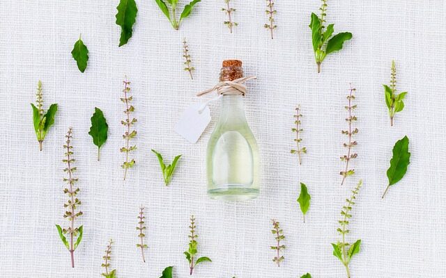 Dyrk basilikum indendørs: Den ultimative guide til friske urter året rundt