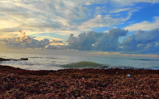 Fra sundhedsrisiko til trygt tag: En guide til asbestudskiftning